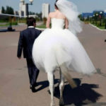 Funny Wedding Day Photo Fails That Will Make You Cringe