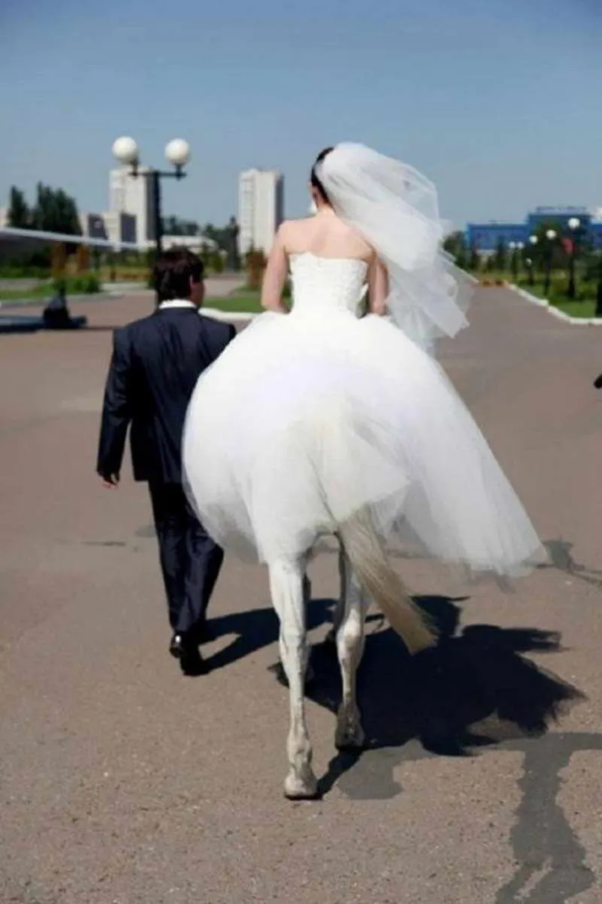 Centaur Bride