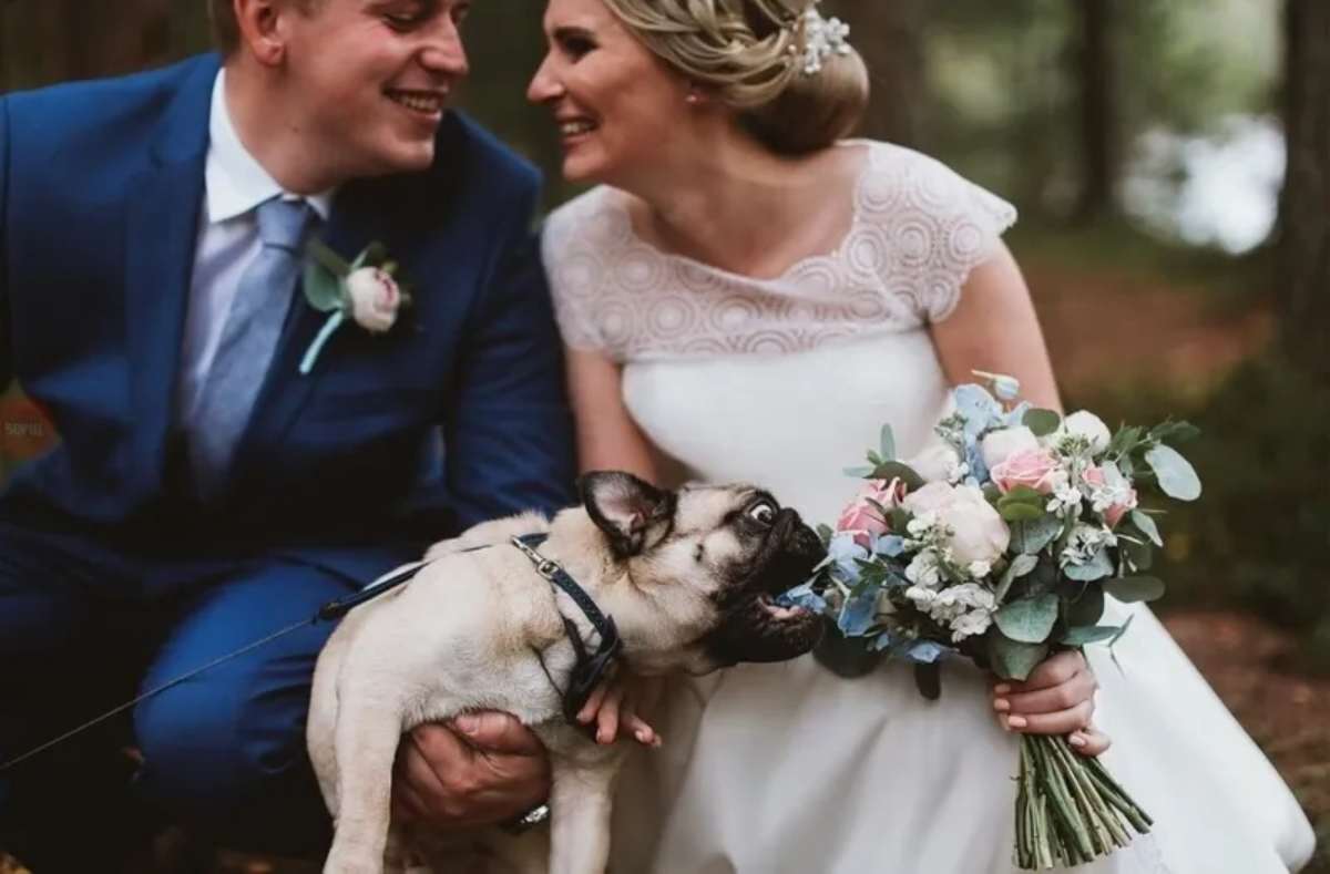 Dog Eating Bride's Bouquet