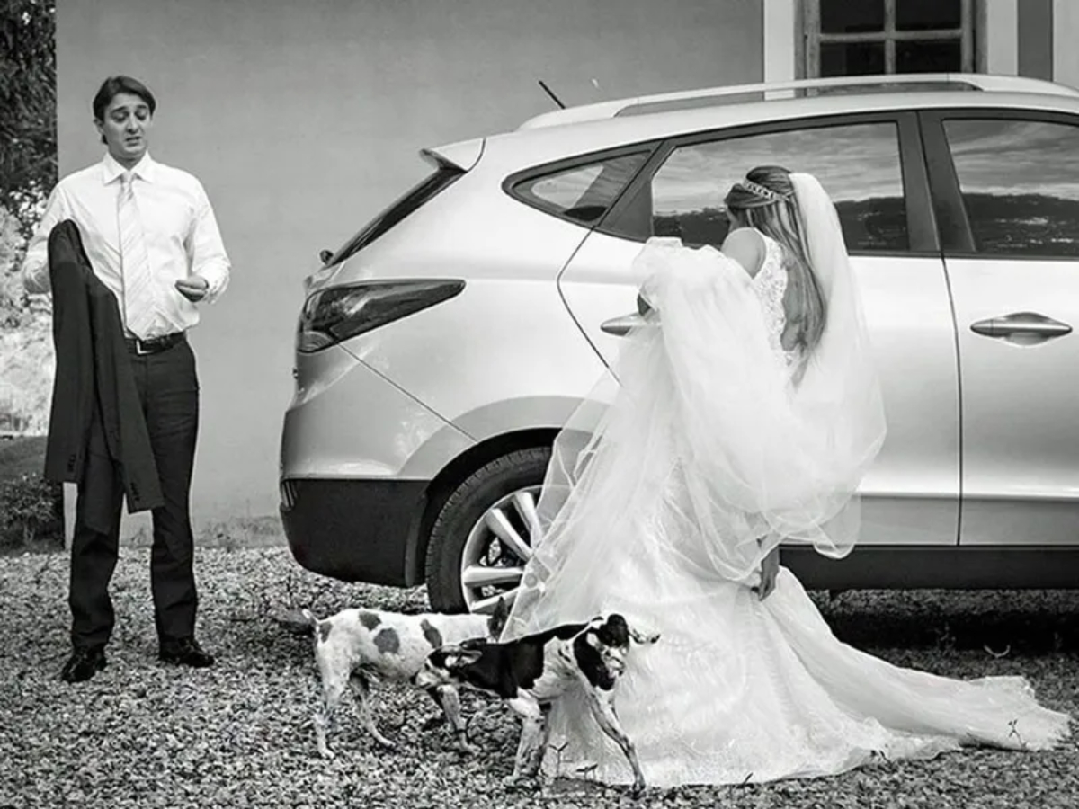 Dogs Peeing Wedding Photo