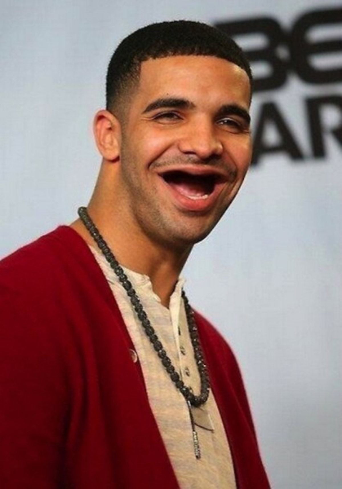 Drake Without Teeth