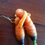 Funny Fruits And Vegetables That Look Like Other Things