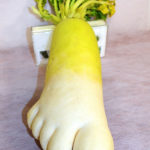 Funny Fruits And Vegetables That Look Like Other Things