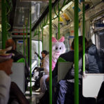 Hilarious photos taken in public transport