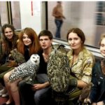 Hilarious photos taken in public transport