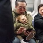 Hilarious photos taken in public transport