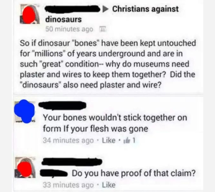 ridiculous comments on the internet