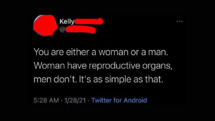 ridiculous comments on the internet