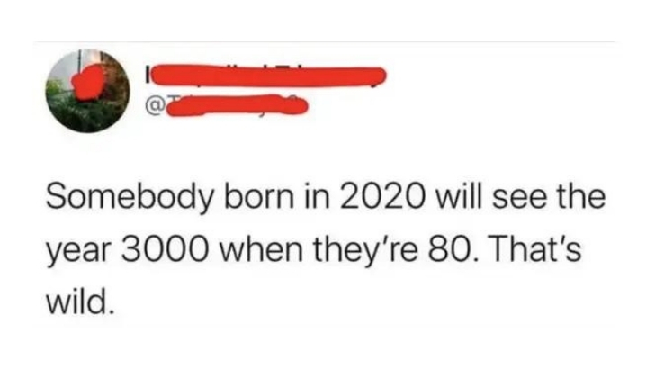 ridiculous comments on the internet