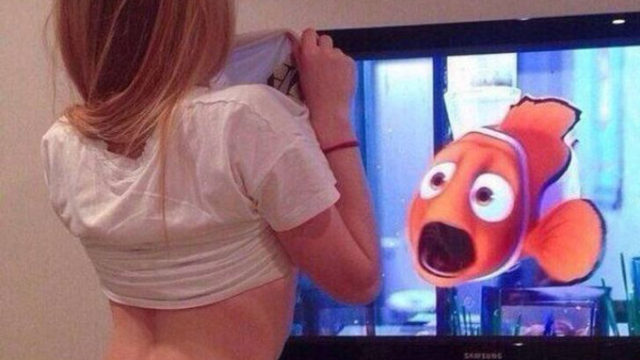 Hilarious Timed Photos That Are So Bizarre You Will Look Twice!