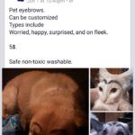 The Weirdest Posts That You Will See On Facebook Marketplace