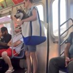 Try Not To Laugh At These Hilarious Things Seen In Public Transport