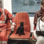 Hilarious photos taken in public transport