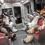 Hilarious photos taken in public transport