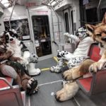 Try Not To Laugh At These Hilarious Things Seen In Public Transport