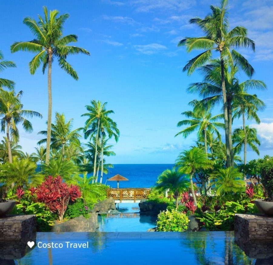 Infinity pool overlooking the ocean in Hawaii on Costco Travel trip