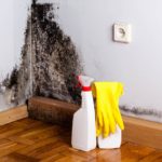 Some of the Biggest (And Grossest) Cleaning Mistakes You’re Making