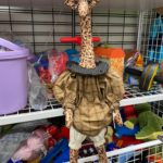 The Weirdest And Most Amazing Items Discovered At Thrift Stores