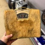 The Weirdest And Most Amazing Items Discovered At Thrift Stores