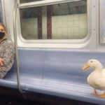 Try Not To Laugh At These Hilarious Things Seen In Public Transport