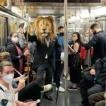 Try Not To Laugh At These Hilarious Things Seen In Public Transport