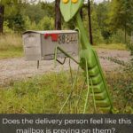 The Funniest Mailboxes Ever Seen In America