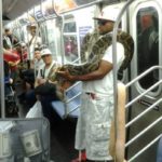 Try Not To Laugh At These Hilarious Things Seen In Public Transport