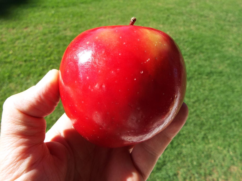 apple