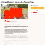 Shameless People Who Used GoFundMe For All The Wrong Reasons