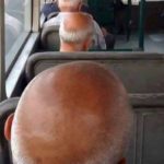 Hilarious photos taken in public transport