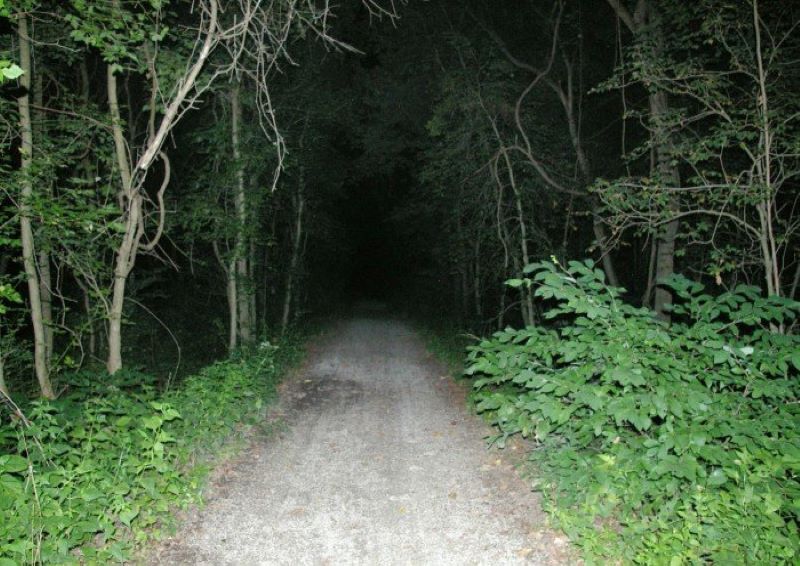 Zombie Road