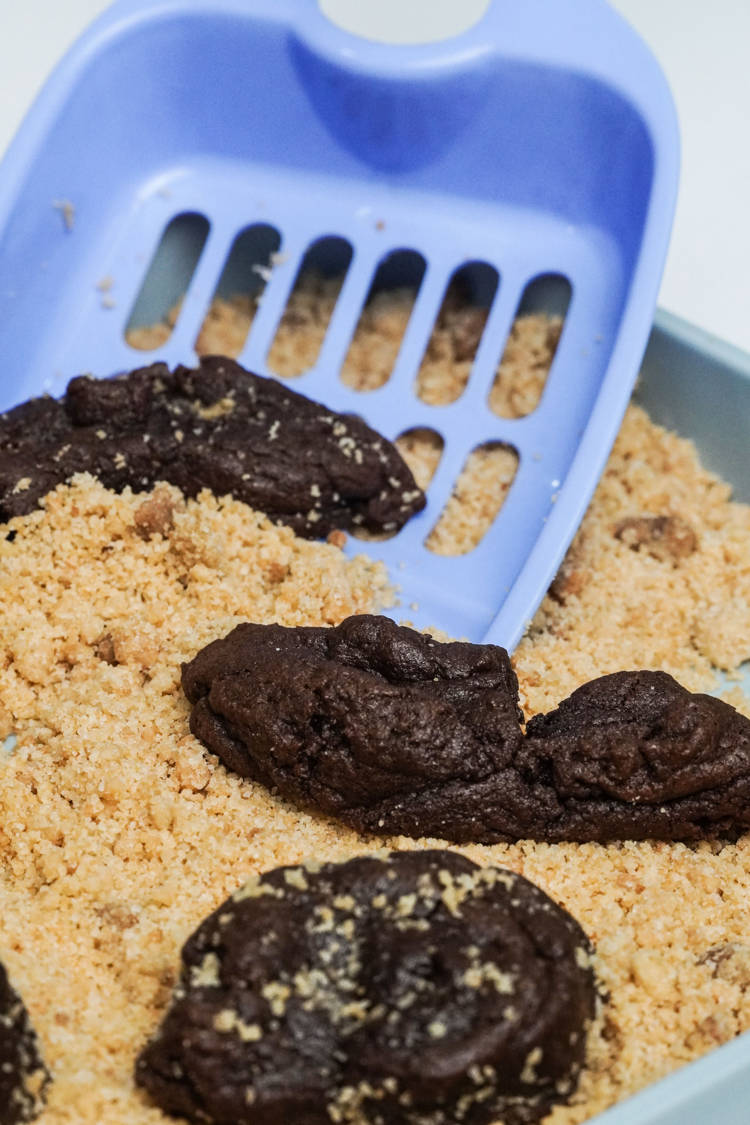 cat poop brownies