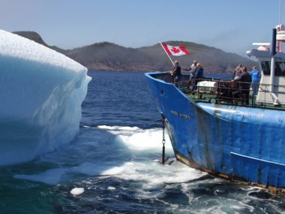 iceberg harvesting