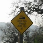 Funny Road Signs That Are Sure To Make You Laugh