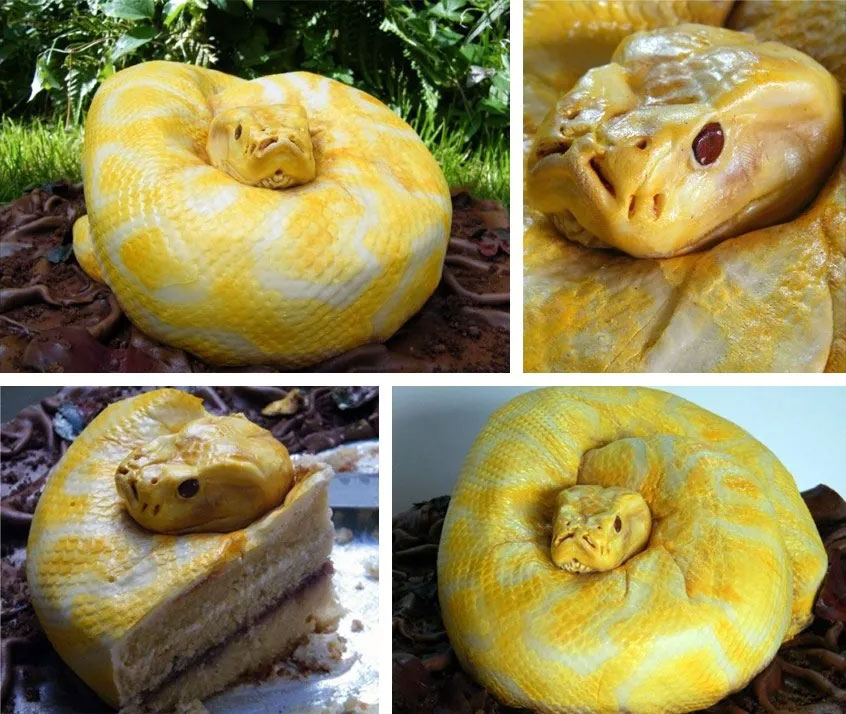 Burmese python cake