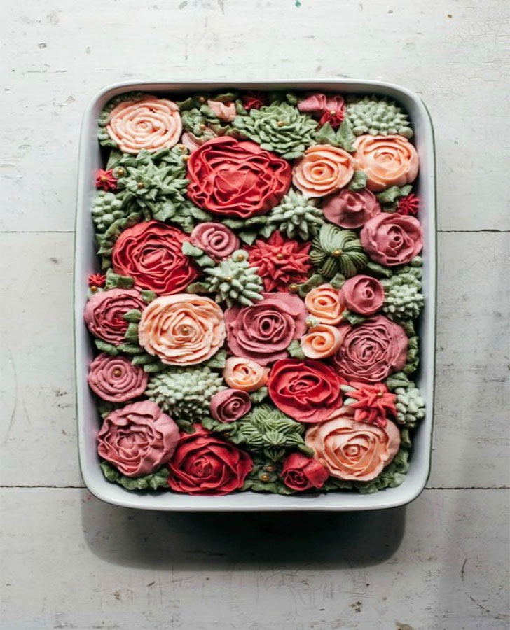succulent cake