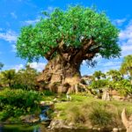 Stunning Secrets About Walt Disney World