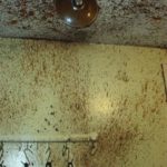 Cooking Fails That Wrecked These Kitchens