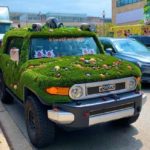 Funny And Weird Car Wraps You Won’t See Often