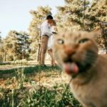 When Animals Photobomb: A Collection of Hilarious Moments