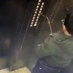 The Funniest Things Ever Caught On Hidden Cameras